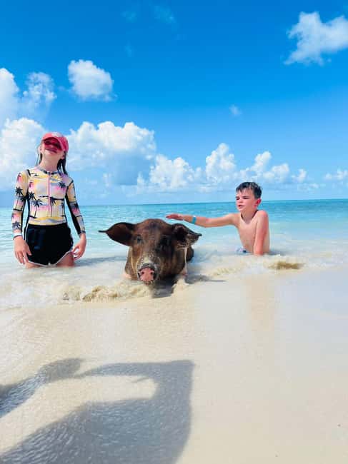 Nassau: Half-Day Swimming Pigs, Reef Snorkel & Beach Club - The pig stop: feeding, photos, and realistic expectations