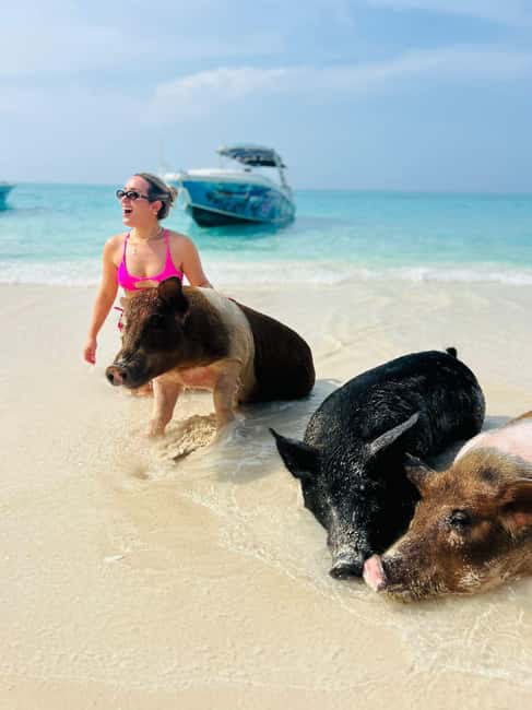 Nassau: Half-Day Swimming Pigs, Reef Snorkel & Beach Club - Athol Island snorkeling with time to settle in