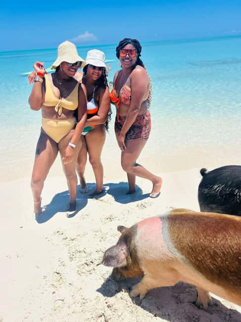 Nassau: Half-Day Swimming Pigs, Reef Snorkel & Beach Club - What the powerboat ride adds