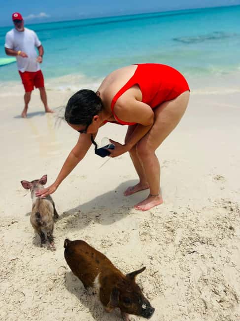 Nassau: Half-Day Swimming Pigs, Reef Snorkel & Beach Club - Should you book the Rose Island pig and reef tour?
