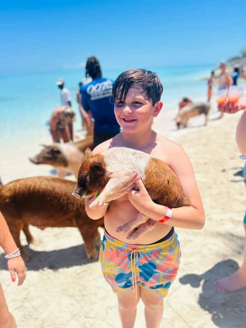 Nassau: Half-Day Swimming Pigs, Reef Snorkel & Beach Club - Rose Island beach club time is the real value