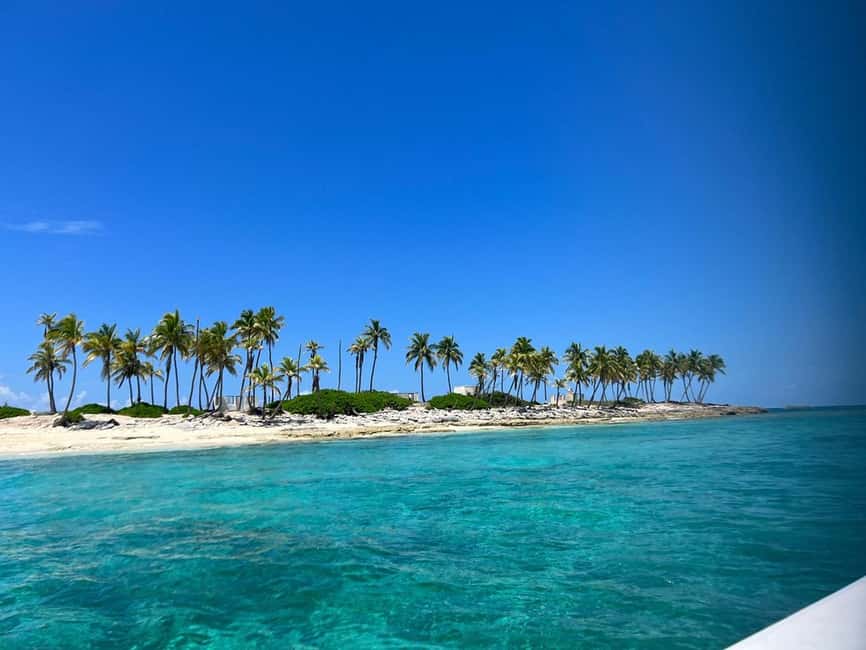 Nassau: Island Hopping Boat Trip with Lunch & Drinks - Pig Beach, the tour’s big reward