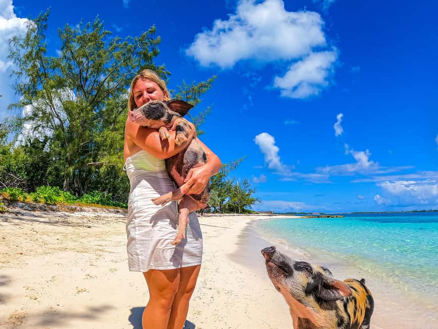 Nassau: Pigs Beach Trip by Boat with Swimming and Feeding - Timing, weather, and practical details