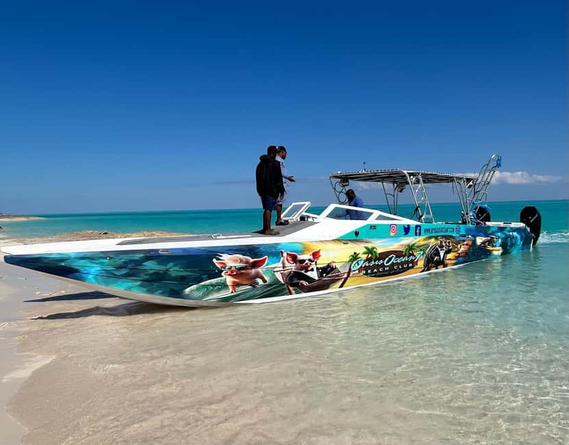 Nassau: Pigs, Snorkel, Turtles, Lunch, Private Beach Club - Lunch, drinks, and what the price includes
