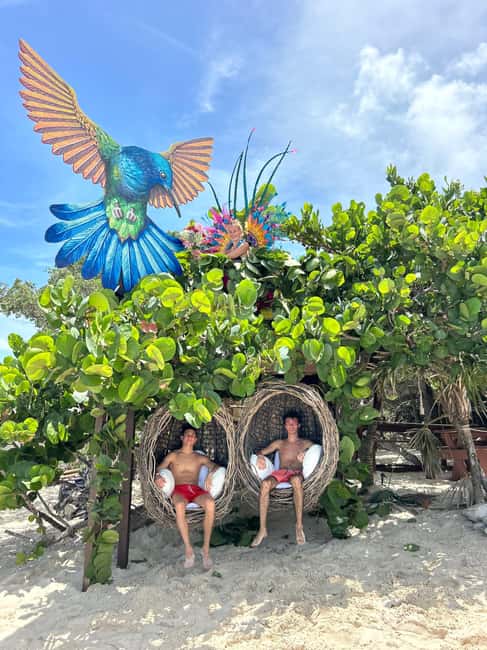Nassau: Pigs, Snorkel, Turtles, Lunch, Private Beach Club - Is four hours enough?