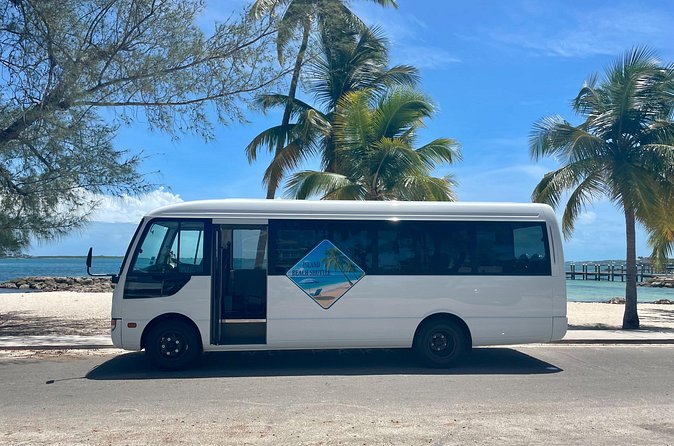 Nassau Private Airport & Cruise Port Transfer - Who should book this service