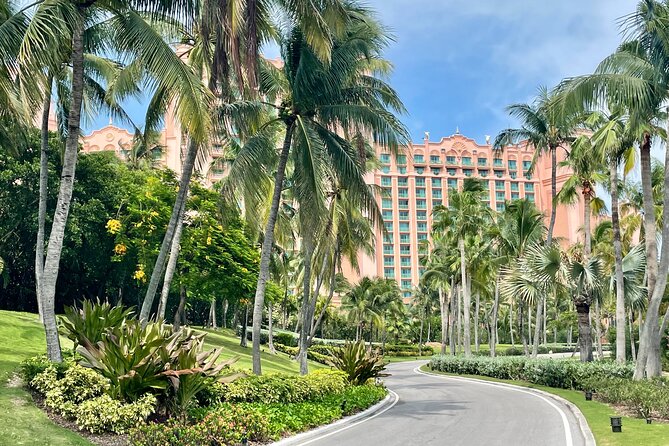 Nassau Private Airport & Cruise Port Transfer - Airport pickup, from baggage claim to hotel