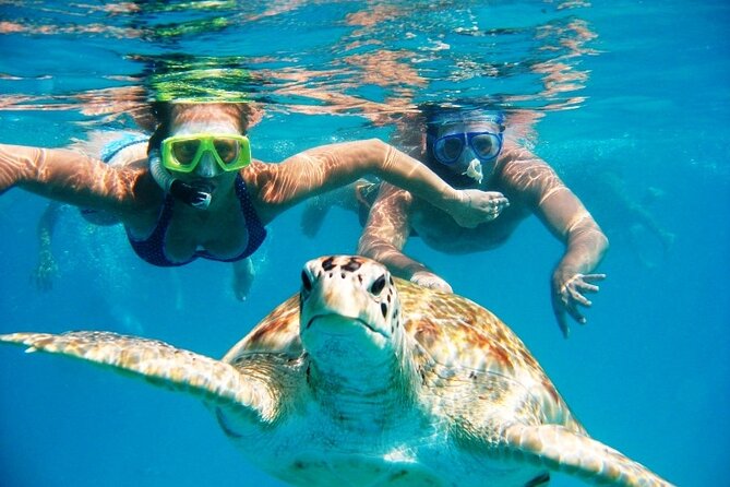 Nassau: Private Island & Snorkeling, Turtles, Drinks, & BBQ - Quick take: what makes this outing worth considering