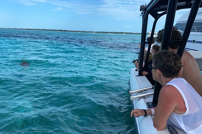 Nassau: Private Island & Snorkeling, Turtles, Drinks, & BBQ - From Margaritaville to the open water