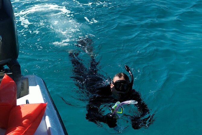 Nassau: Private Island & Snorkeling, Turtles, Drinks & BBQ - Who will enjoy this Nassau excursion