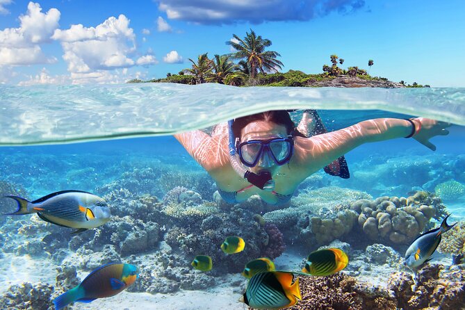 Nassau: Private Island & Snorkeling, Turtles, Drinks, & BBQ - Pearl Island Reef gives you a short taste of snorkeling