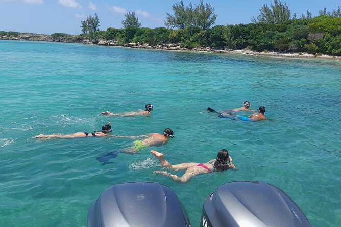 Nassau, Private Swimming Pig, Island Hopping, Snorkeling, Turtles - Timing, meeting point, and practical preparation