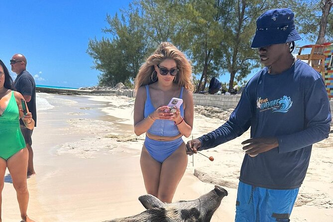 Nassau, Private Swimming Pig, Island Hopping, Snorkeling, Turtles - How to handle the route on your day
