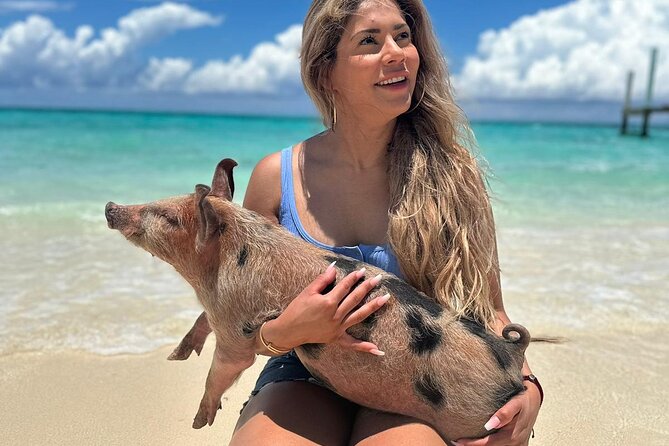 Nassau, Private Swimming Pig, Island Hopping, Snorkeling, Turtles - The swimming pigs come with an extra charge