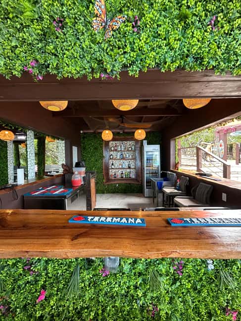 Nassau: Reef Snorkeling, Turtles, Lunch & Private Beach Club - Why this four-hour Nassau trip works
