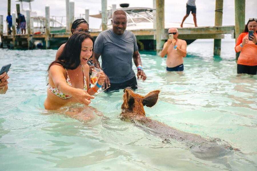 Nassau: Rose Island's Sand Dollar Beach Resort - Key points at a glance