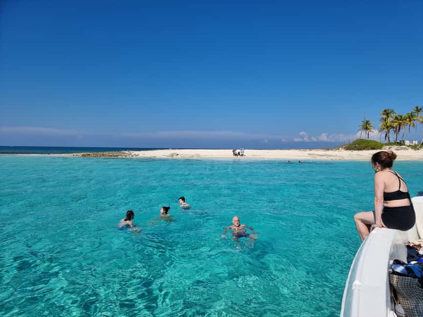 Nassau: Rose Island Swimming Pigs & Turtles Snorkeling Tour - What is included, and what you still need to bring