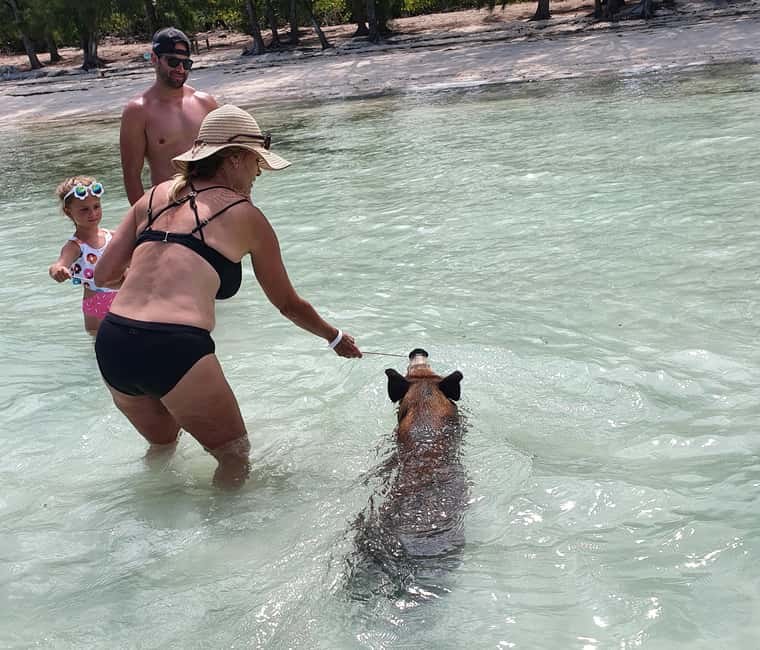 Nassau: Rose Island Swimming Pigs & Turtles Snorkeling Tour - Who will get the most from this tour