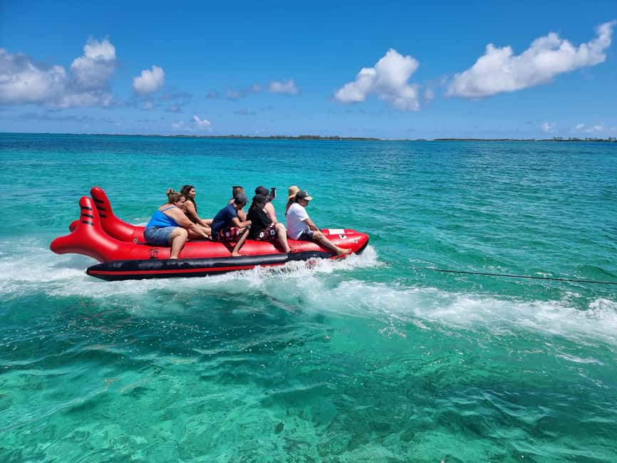 Nassau: Rose Island Swimming Pigs & Turtles Snorkeling Tour - Is the $127 price fair?