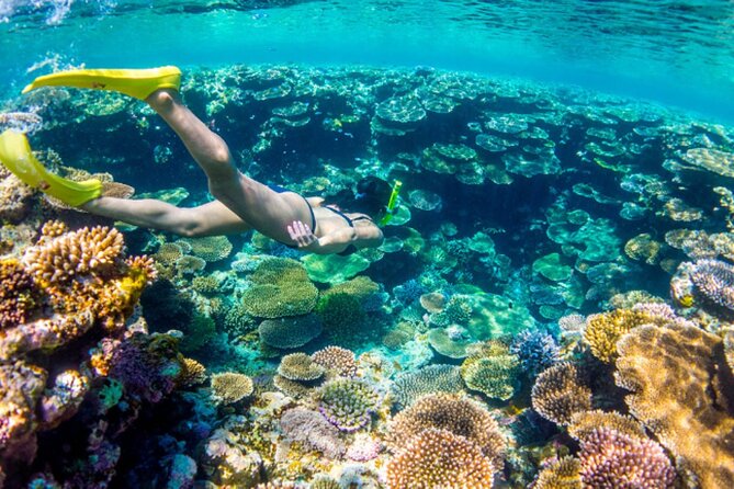 Nassau Sail & Snorkel Adventure with 1 Hour Open Bar - The Athol Island snorkeling stop