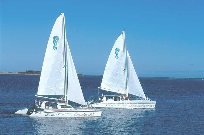 Nassau Sail & Snorkel Adventure with 1 Hour Open Bar - The return ride and one-hour open bar