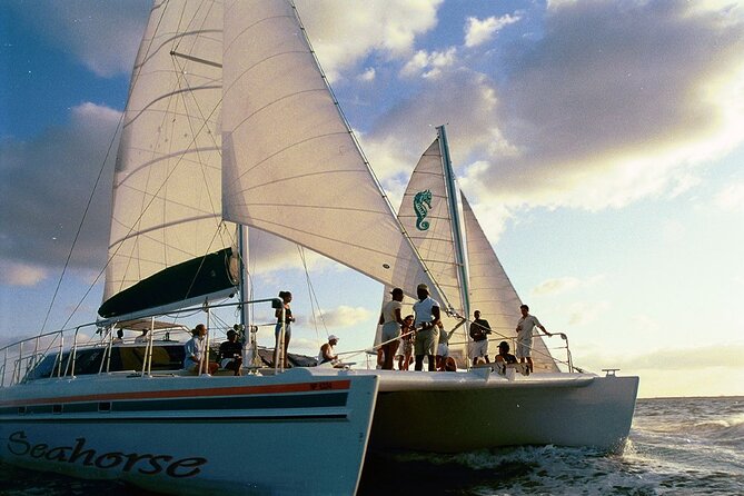 Nassau Sail & Snorkel Adventure with 1 Hour Open Bar - Who should book this Nassau outing?