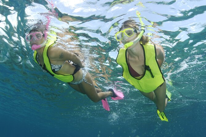 Nassau Shore Excursion: Bahamas Snorkel Adventure - What the Nassau Snorkel Adventure really offers