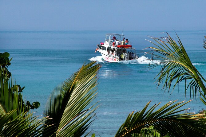 Nassau Shore Excursion: Bahamas Snorkel Adventure - The shark stop, thrilling but brief