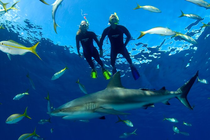 Nassau Shore Excursion: Bahamas Snorkel Adventure - Crew support makes a difference