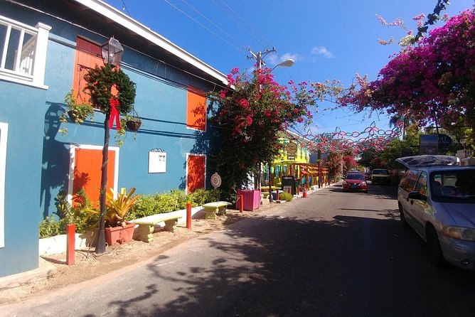 Nassau Shore Excursion: Sightseeing and Snorkeling Tour - A Nassau day with more than one flavor