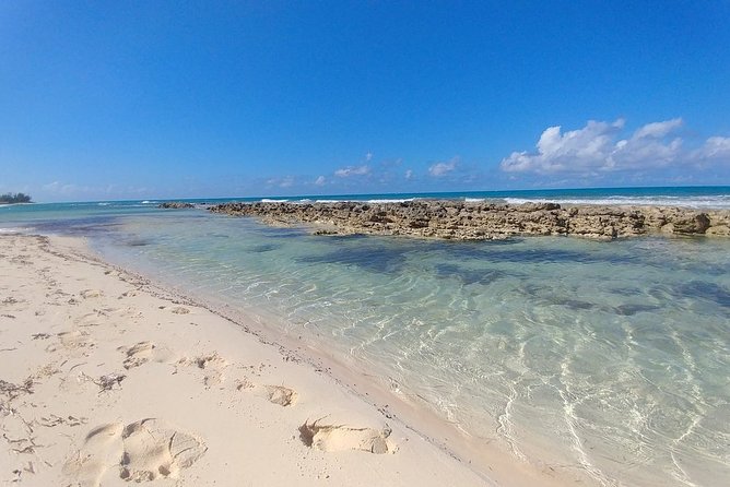 Nassau Shore Excursion: Sightseeing and Snorkeling Tour - Graycliff Chocolate Factory in 20 minutes