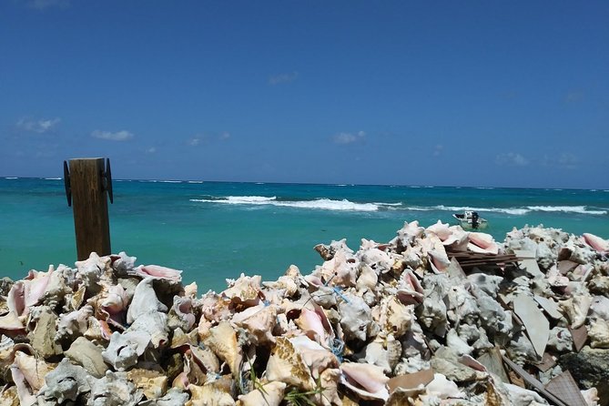 Nassau Shore Excursion: Sightseeing and Snorkeling Tour - Who will enjoy this Nassau excursion?