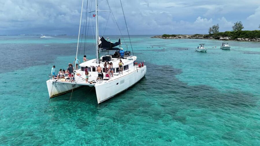 Nassau: Snorkeling, Pig Beach, Swim with Turtles, and Lunch - From Montagu Beach to open water
