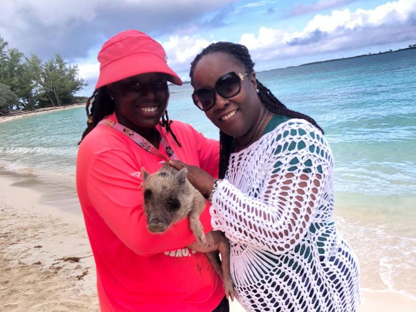 Nassau: Snorkeling, Pig Beach, Swim with Turtles, and Lunch - What the $165 price really covers