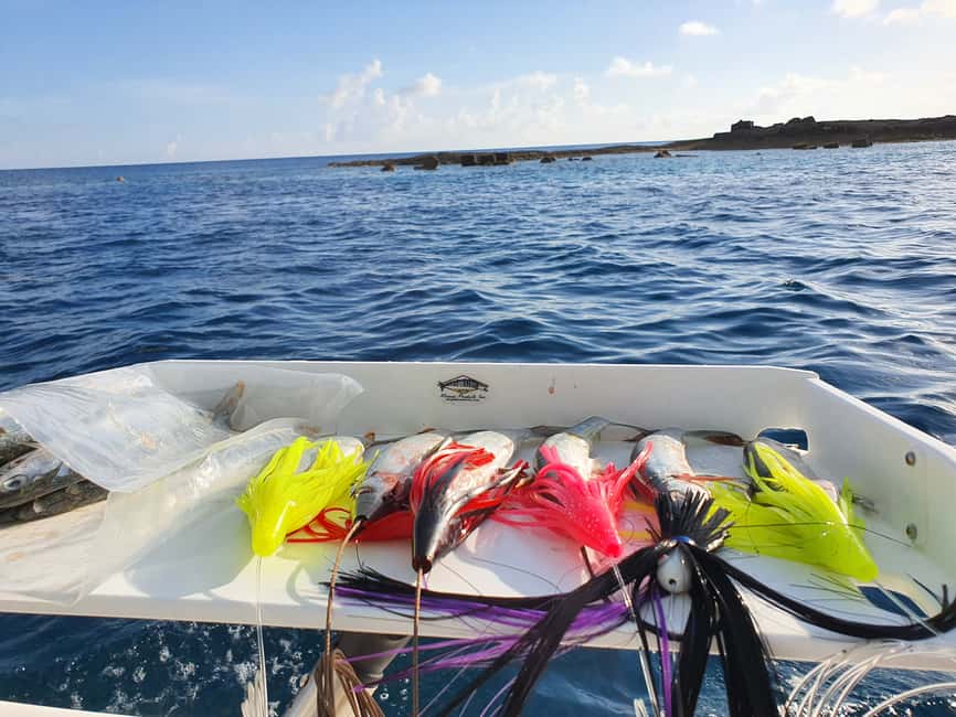 Nassau: Sport-fishing private charter . - Choosing between offshore and reef fishing