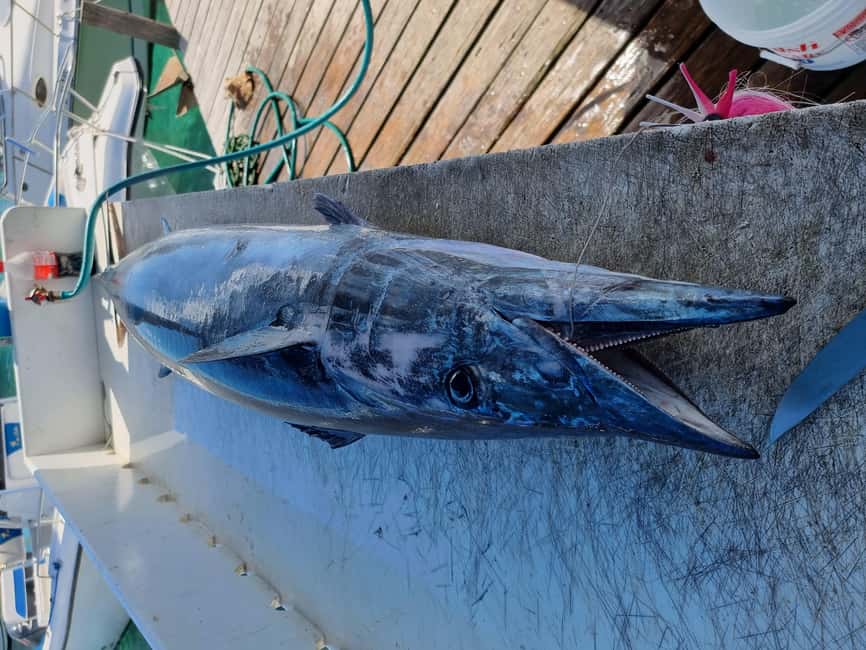 Nassau: Sport-fishing private charter . - The boat, crew, and comfort level