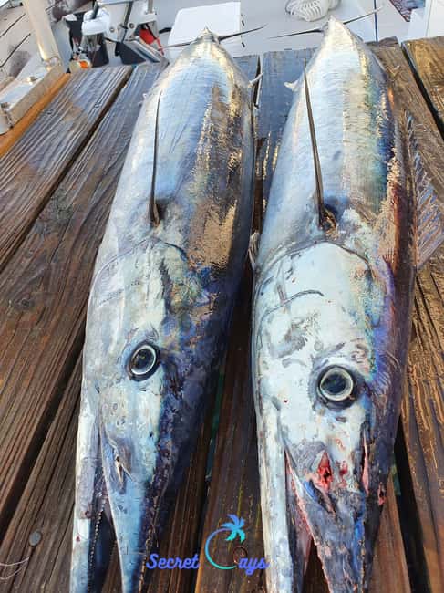 Nassau: Sport-fishing private charter . - Booking advice and final call