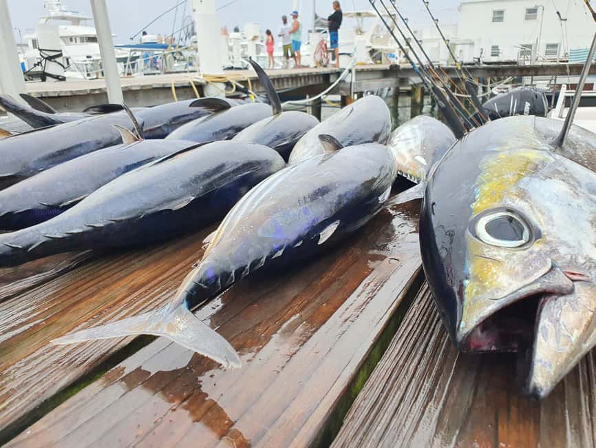 Nassau: Sport-fishing private charter . - What a four-hour fishing day feels like