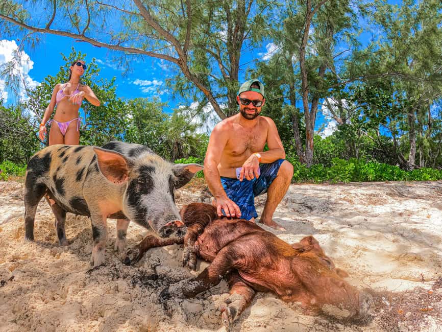 Nassau: Sun Cay and Swimming Pigs Boat Trip with Lunch - What $179 really gets you