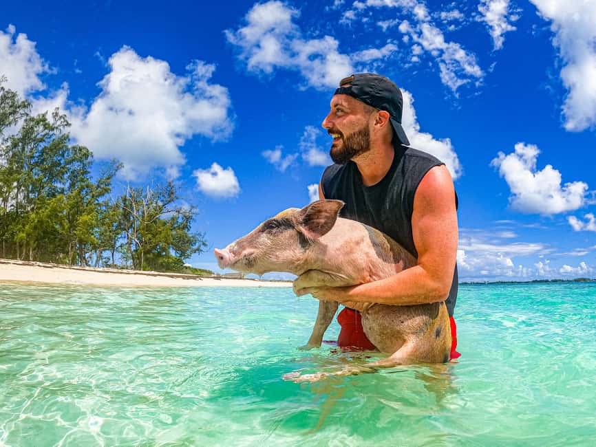 Nassau: Sun Cay and Swimming Pigs Boat Trip with Lunch - Guides, timing, and the feel of the day