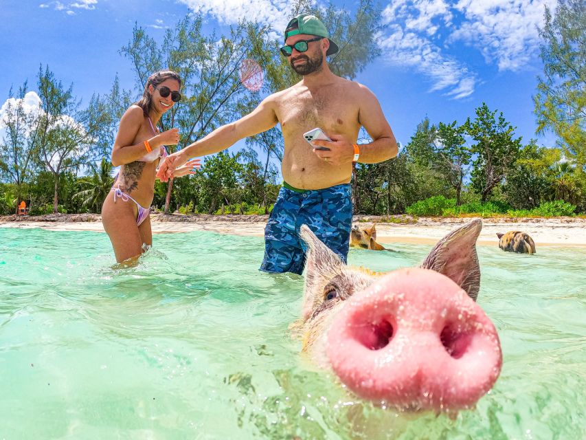 Nassau: Sun Cay and Swimming Pigs Boat Trip with Lunch - Who should book this Nassau excursion?