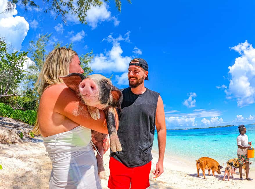 Nassau: Sun Cay and Swimming Pigs Boat Trip with Lunch - Should you book the Sun Cay and swimming pigs trip?