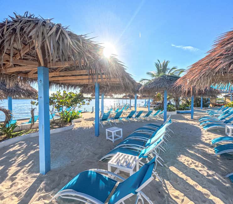 Nassau: Sun Cay Day Trip, Snorkel, Iguana Encounter, & Lunch - The Iguana Habitat encounter