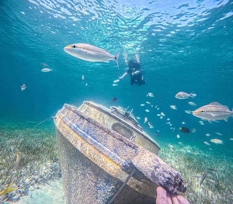 Nassau: Sun Cay Day Trip, Snorkel, Iguana Encounter, & Lunch - What the $99 price really covers