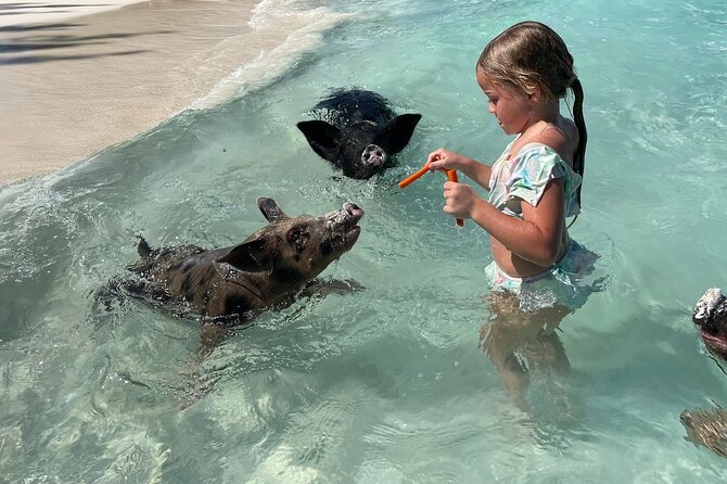 Nassau: Swimming Pigs And Snorkel With Turtles - The boat ride is lively, not silent