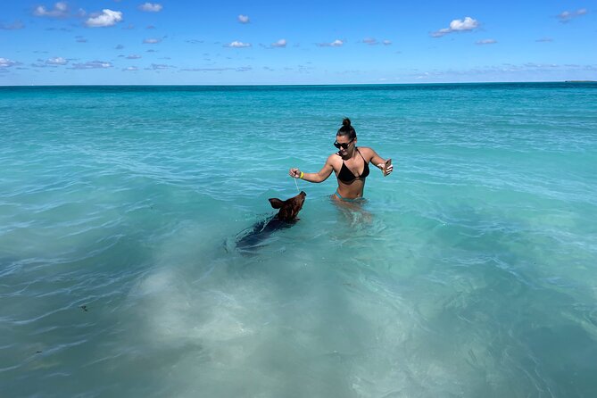 Nassau: Swimming Pigs And Snorkel With Turtles - What to bring for a smoother outing