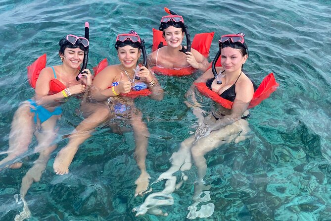 Nassau: Swimming Pigs And Snorkel With Turtles - The strongest part is the mix of wildlife and beach time