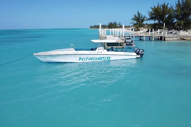 Nassau: Swimming Pigs And Snorkel With Turtles - Should you book it?