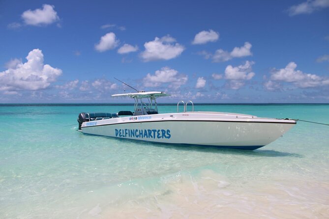 Nassau: Swimming Pigs And Snorkel With Turtles - Is $140 a fair price for three hours?