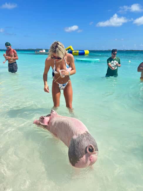 Nassau: Swimming Pigs and Turtles Boat Tour with Snorkeling - Is $1,500 a fair price?